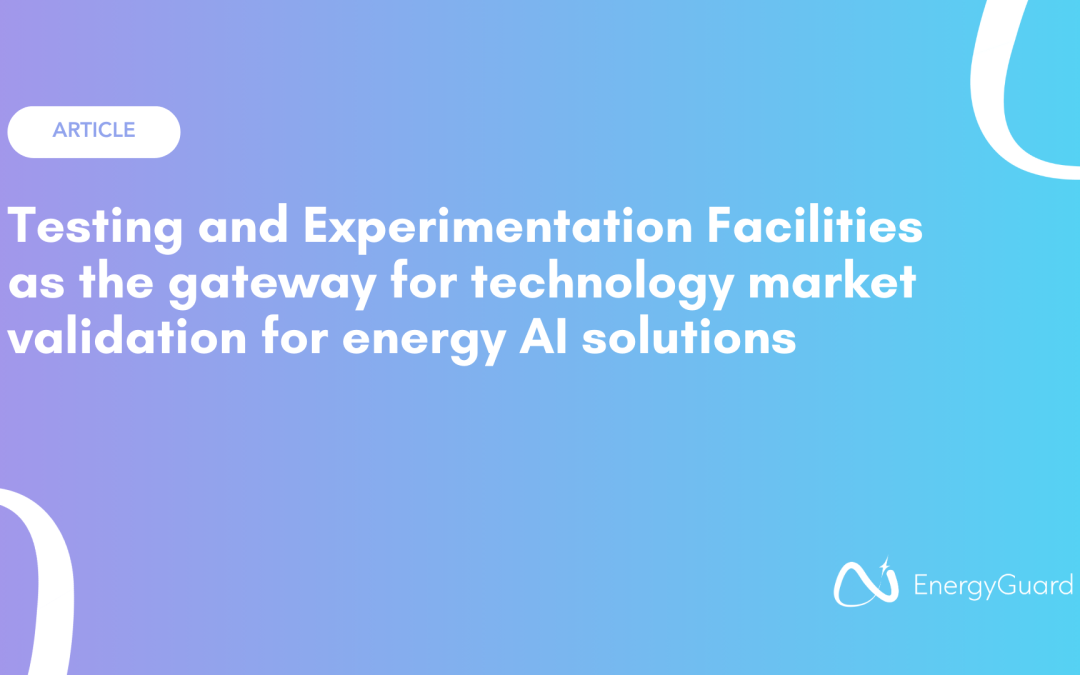 Testing and Experimentation Facilities as the gateway for technology market validation for energy AI solutions